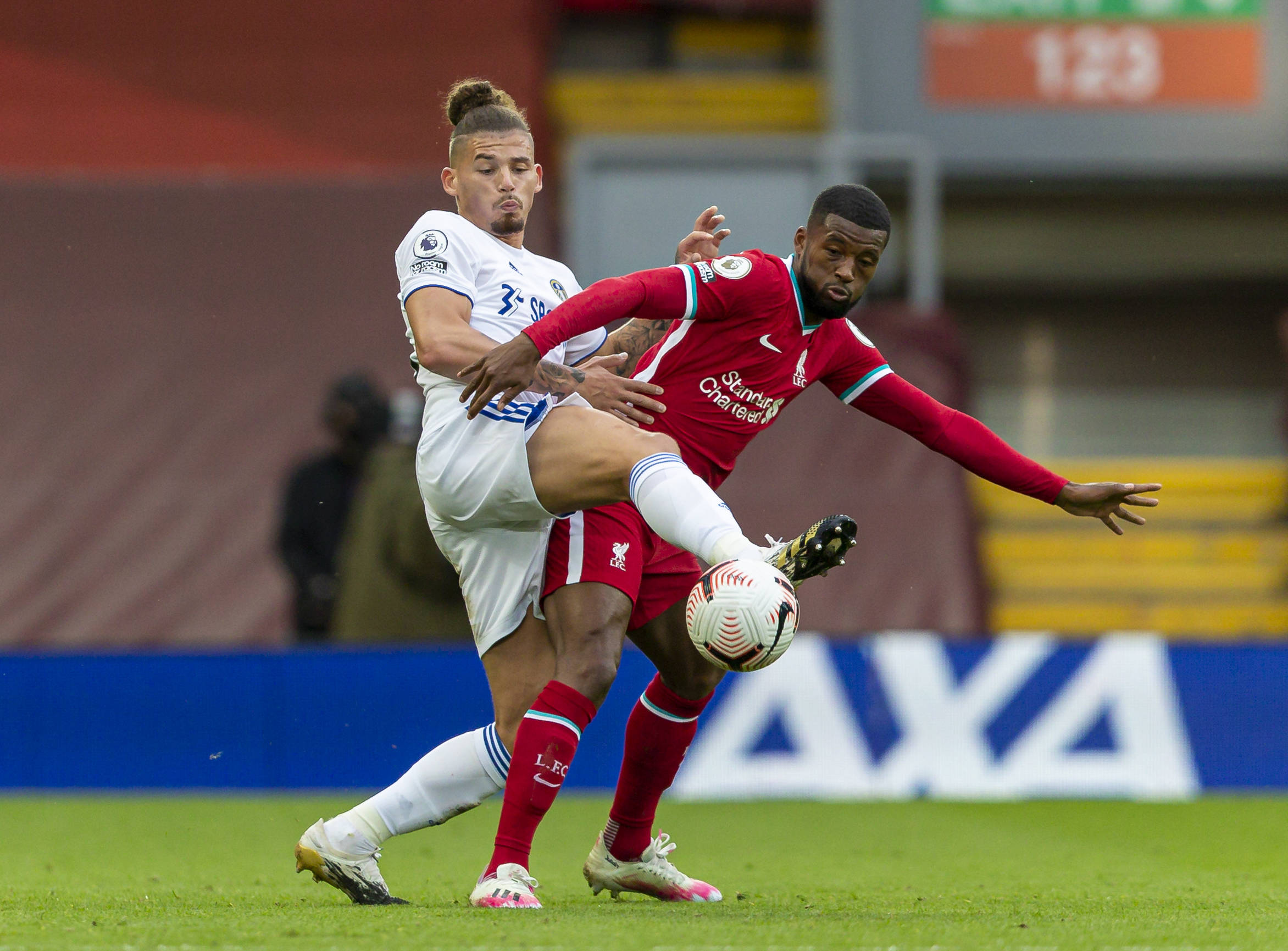 杜姆貝選擇 杜姆貝選擇